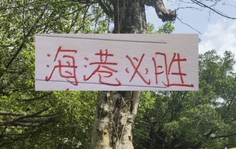 开云主页-前有奇塔 现有奥斯卡 海港旧将也喜欢度假途径母队