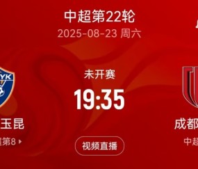 “三四名决赛”？本周末中超玉昆将战蓉城，双方足协杯半决赛均负